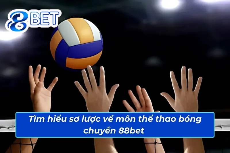 Đôi nét về môn thể thao bóng chuyền 88Bet 