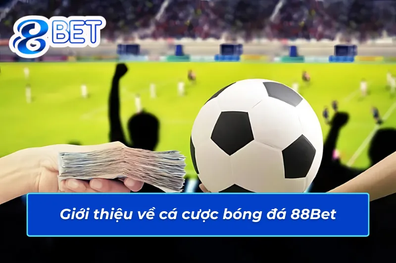 Tổng quan những thông tin chính về cá cược bóng đá 88Bet